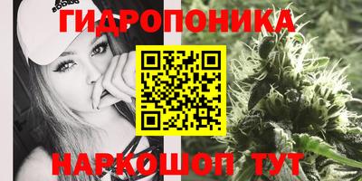 МДПВ Будённовск