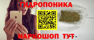 крисы Бузулук