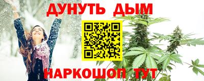 МДПВ Будённовск