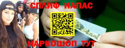 МДПВ Будённовск