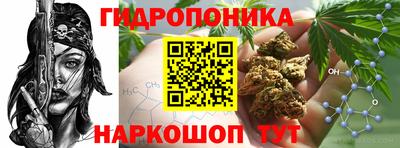 МДПВ Будённовск